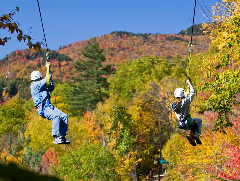 Alpine Adventures